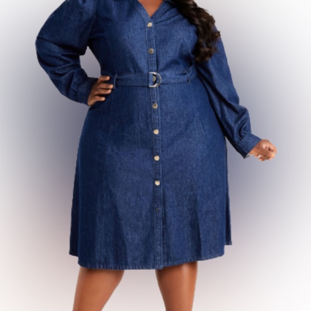 NWT Denim long sleeve Dress